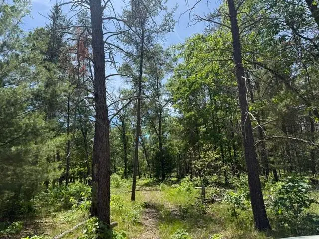 Parcel 2 Grove Street, Baldwin, MI 49304 - #2