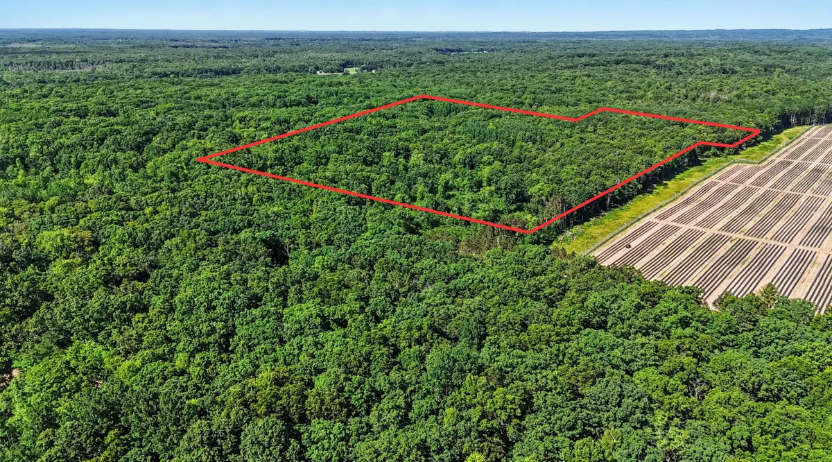 20.15 S 176th Avenue, Hesperia, MI 49421 - #1