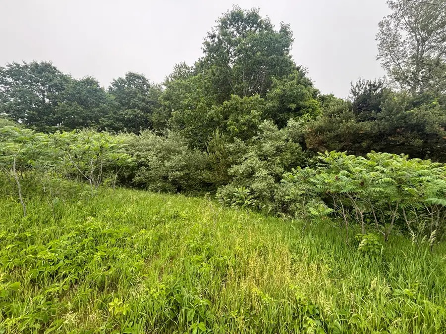 V/L 2.6A Ironwood Drive, Ludington, MI 49431 - #2
