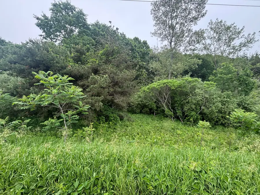V/L 2.6A Ironwood Drive, Ludington, MI 49431 - #3
