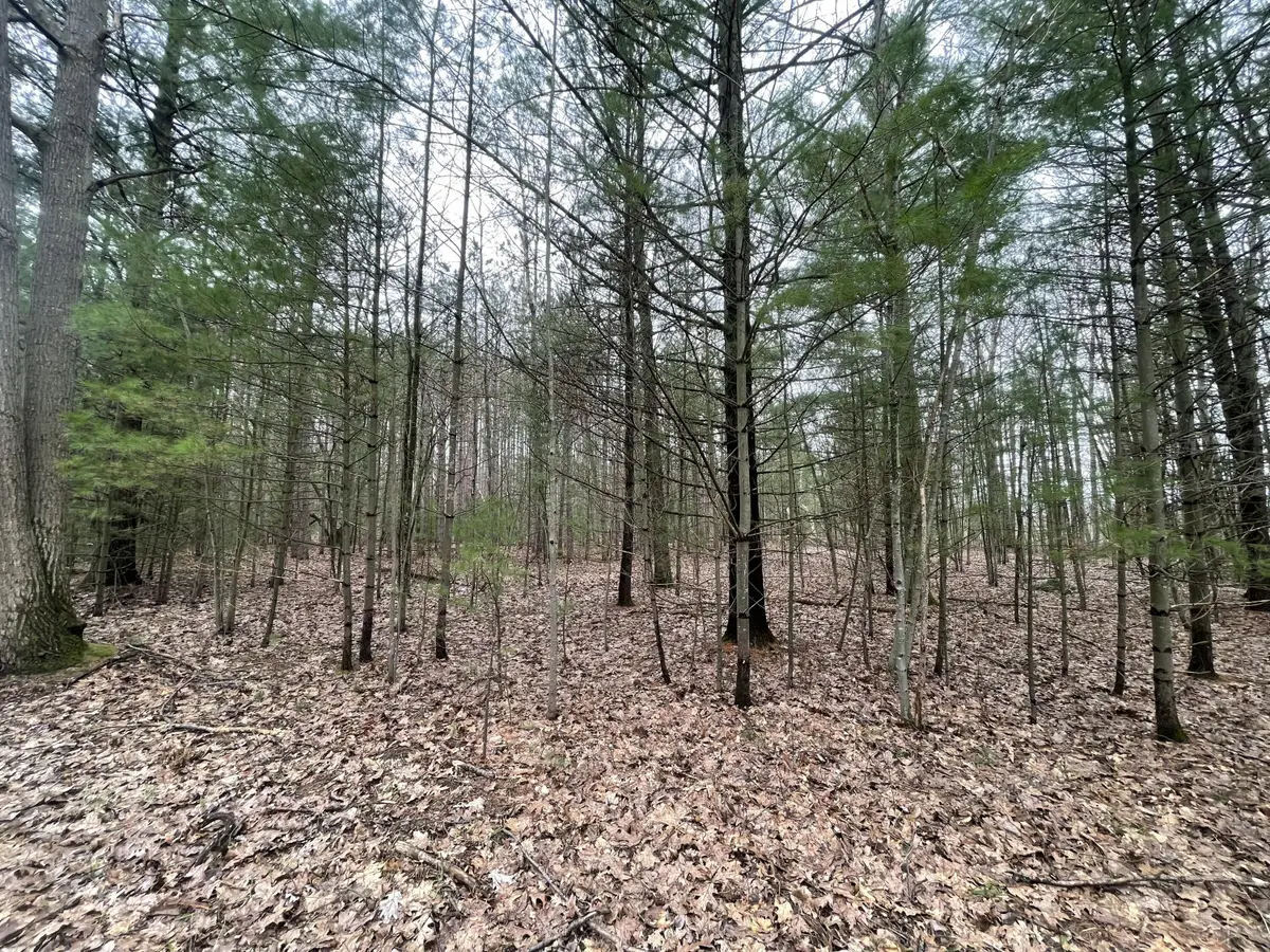 N Schoenherr Road, Free Soil, MI 49411 - #1