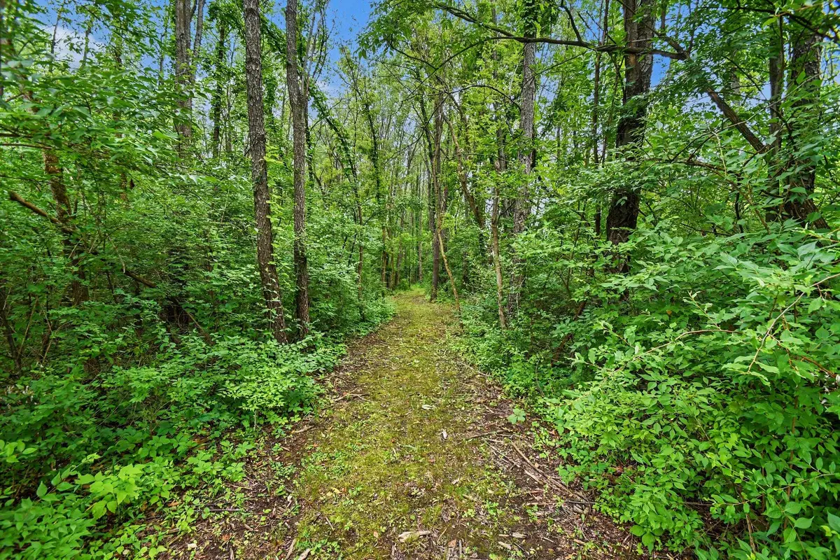 V/L Forest Shores Drive #9 Lot, Cassopolis, MI 49031 - #1