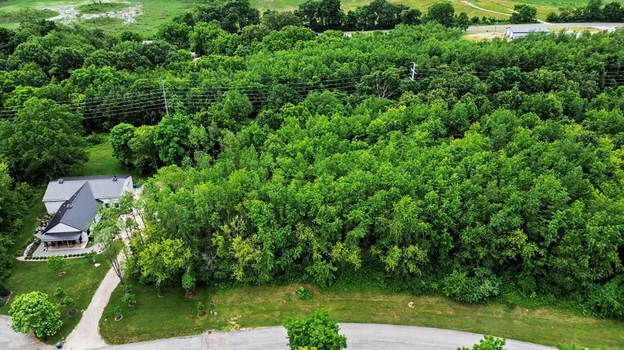 V/L Forest Shores Drive #9 Lot, Cassopolis, MI 49031 - #3