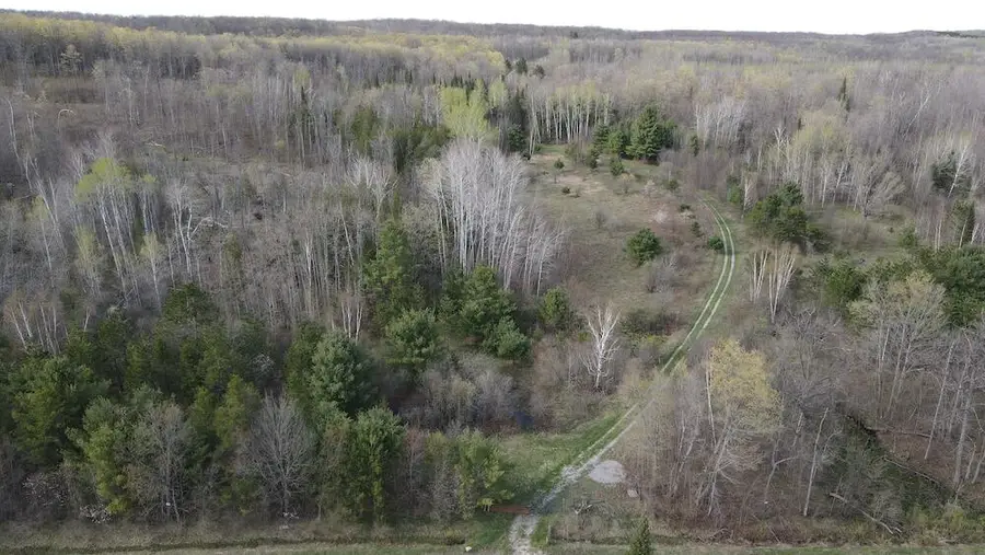 VL Curtisville Road, Mio, MI 48647 - #3