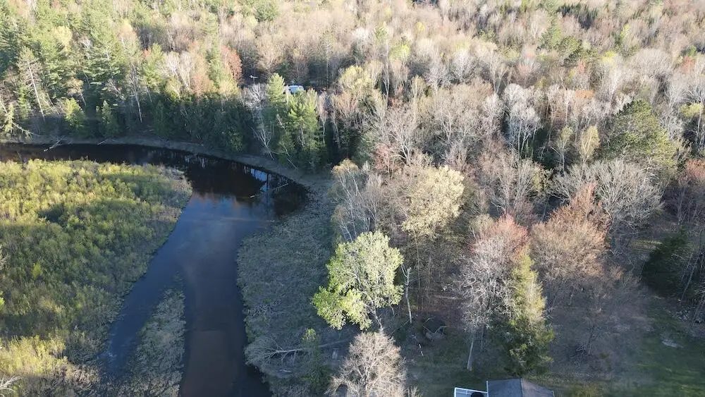 Lot 1 V/l Wildwood Road, Alger, MI 48610 - #1