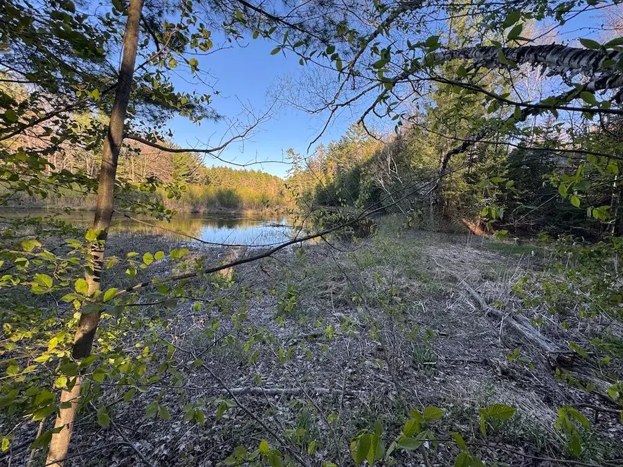 Lot 1 V/l Wildwood Road, Alger, MI 48610 - #2