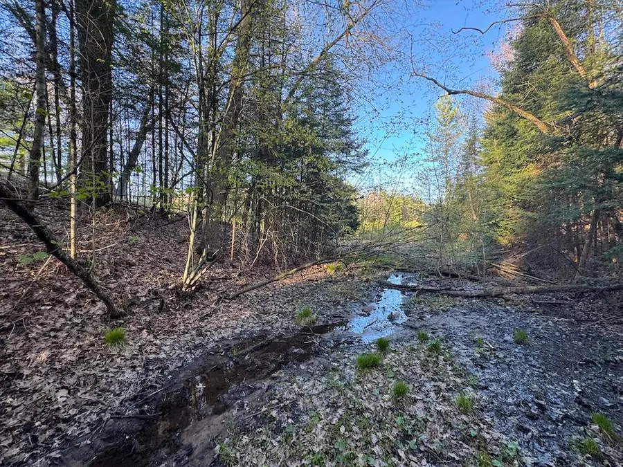 Lot 1 V/l Wildwood Road, Alger, MI 48610 - #3