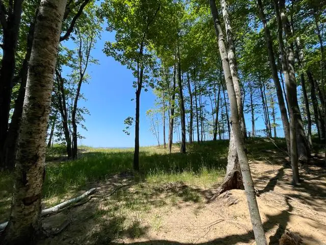 W Fox Farm Road, Manistee, MI 49660 - #3