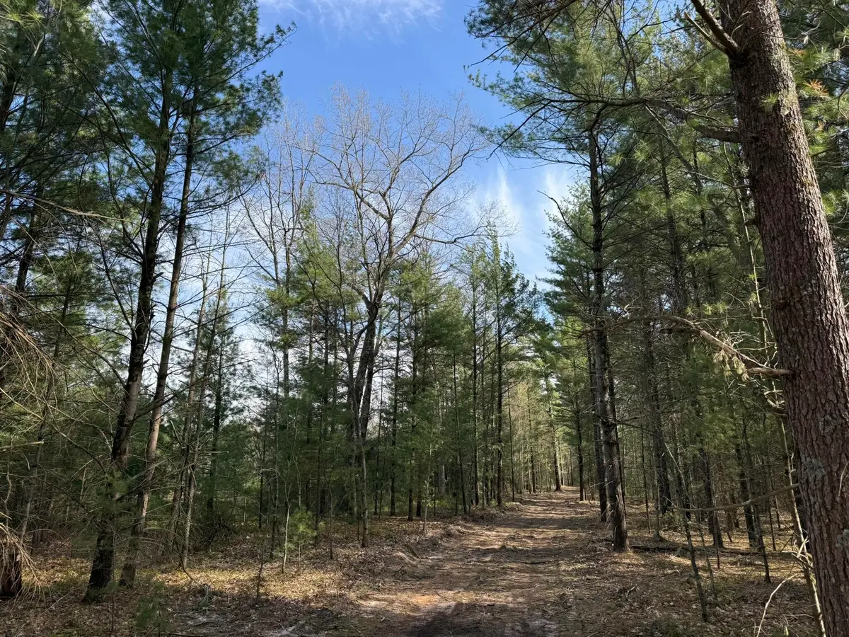 Parcel D Critter Trail, Manistee, MI 49660 - #1