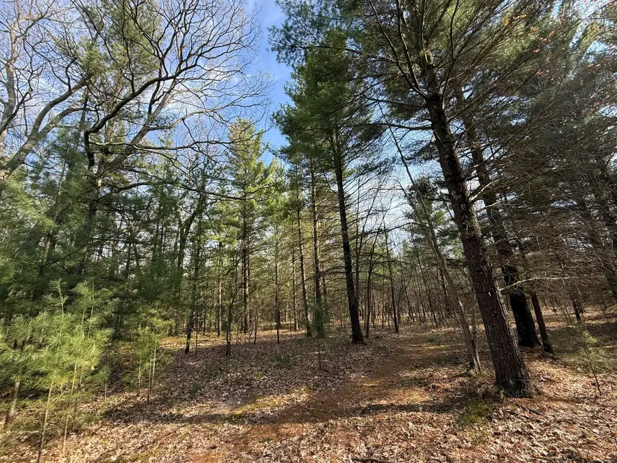 Parcel D Critter Trail, Manistee, MI 49660 - #3