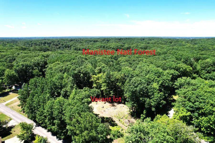 4209 E Townline Road, Fountain, MI 49410 - #3