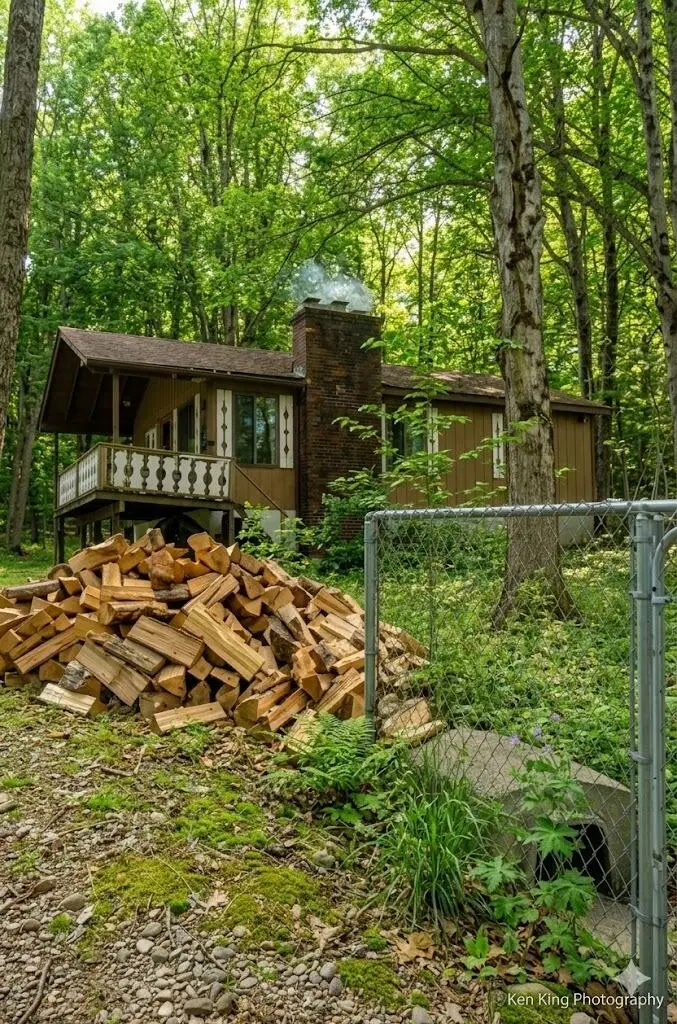 7542 Wyndamar Drive, Mancelona, MI 49659 - #2