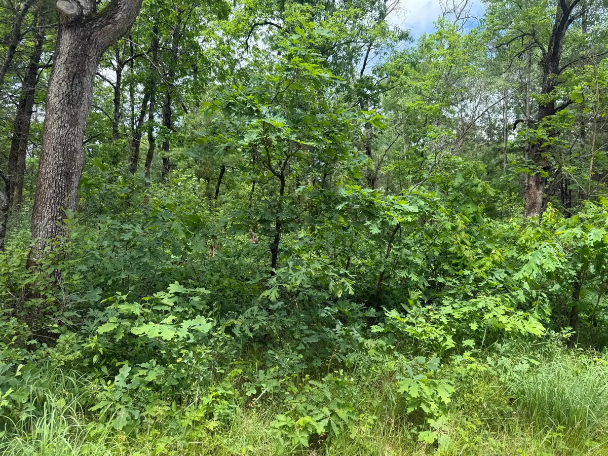 V/l Chestwood, Idlewild, MI 49642 - #1