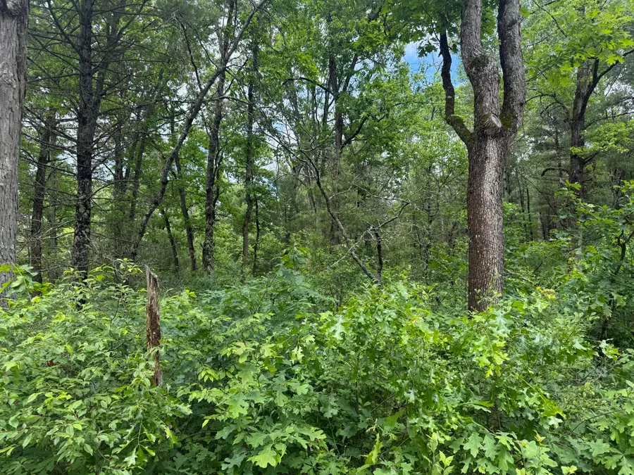 V/l Chestwood, Idlewild, MI 49642 - #2