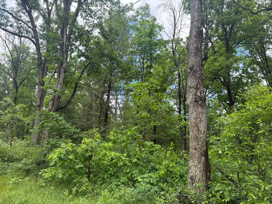 V/l Chestwood, Idlewild, MI 49642 - #3
