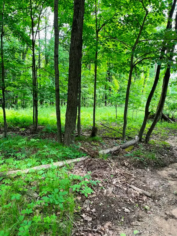 00 Pierce Road, Stanwood, MI 49346