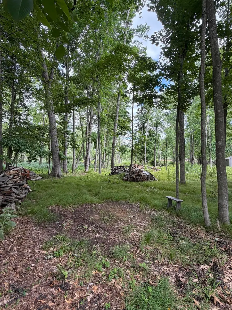 4000 Woodland Road, Jackson, MI 49203 - #2