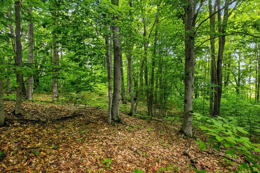 V/L E 24th Street, Reed City, MI 49677 - #2