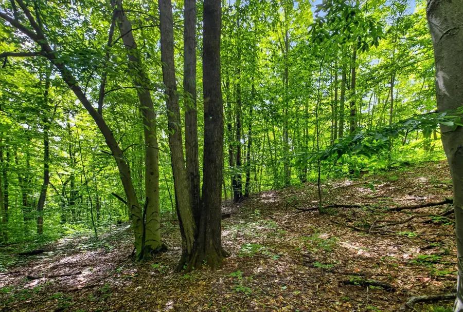 V/L E 24th Street, Reed City, MI 49677 - #3
