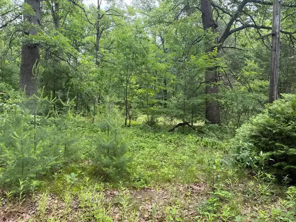 6250 Clover Road, Twin Lake, MI 49457