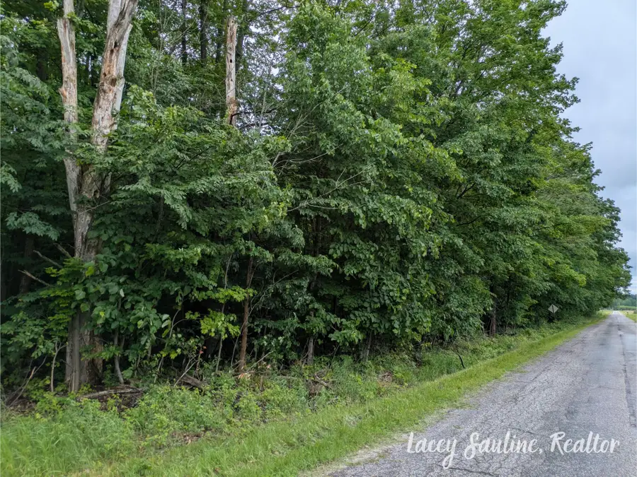 W Finkle Road, McBain, MI 49657 - #2