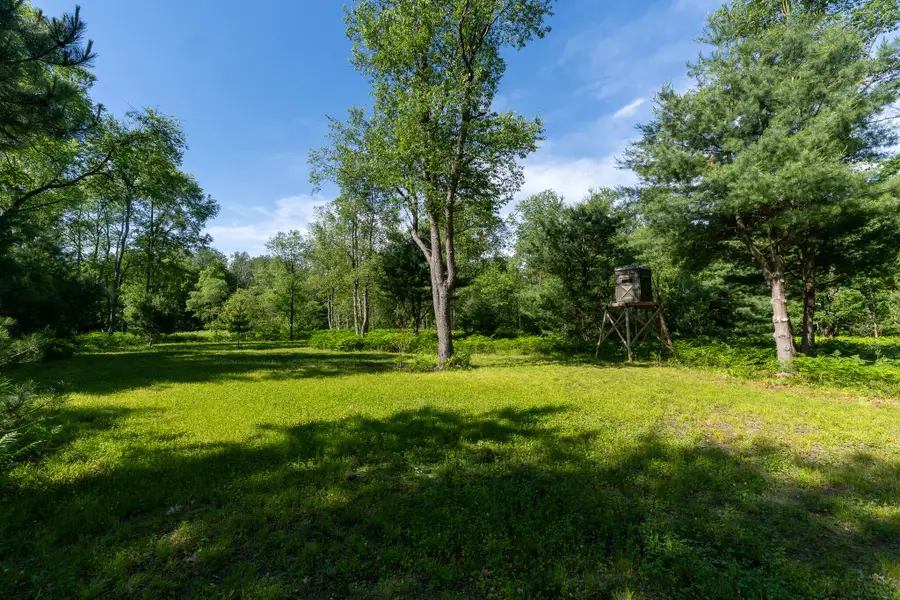 V/L Peach Avenue, White Cloud, MI 49349 - #3