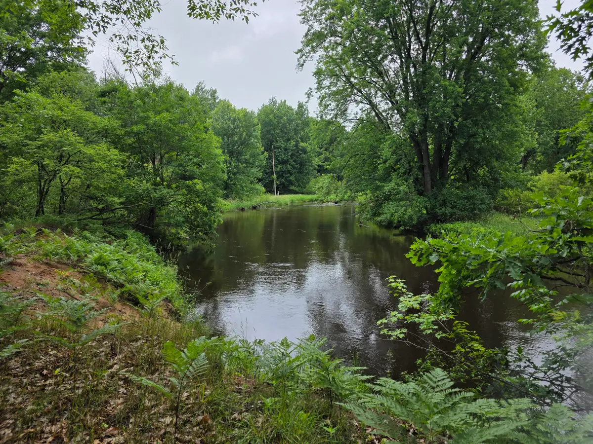 Madison Road, Hesperia, MI 49421 - #1
