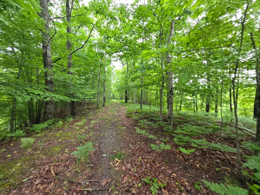 Madison Road, Hesperia, MI 49421 - #3