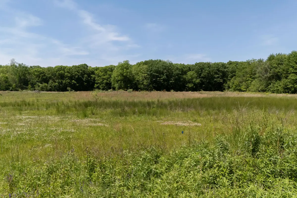 V/L #1 Lakeside Road, New Buffalo, MI 49117 - #1