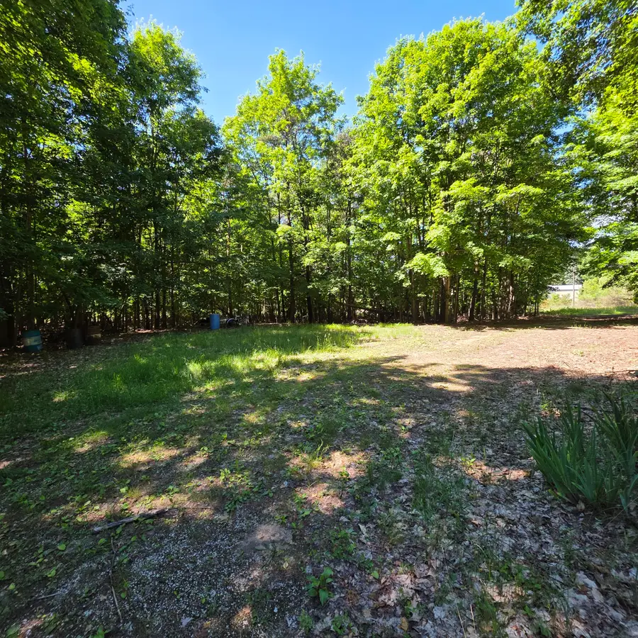 9049 N 80th Avenue, Pentwater, MI 49449 - #2