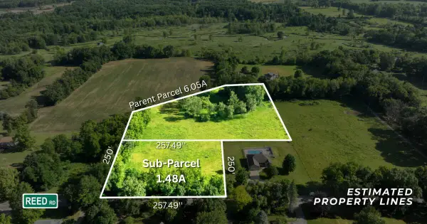 Parcel A Reed Road, Clarklake, MI 49234