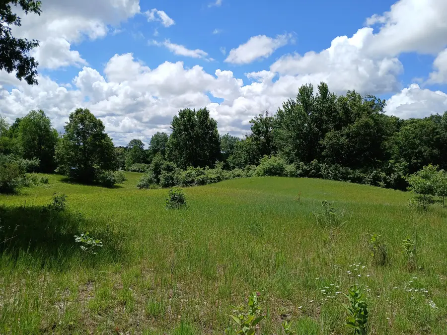 24A E Beyer Road, Fountain, MI 49410 - #2