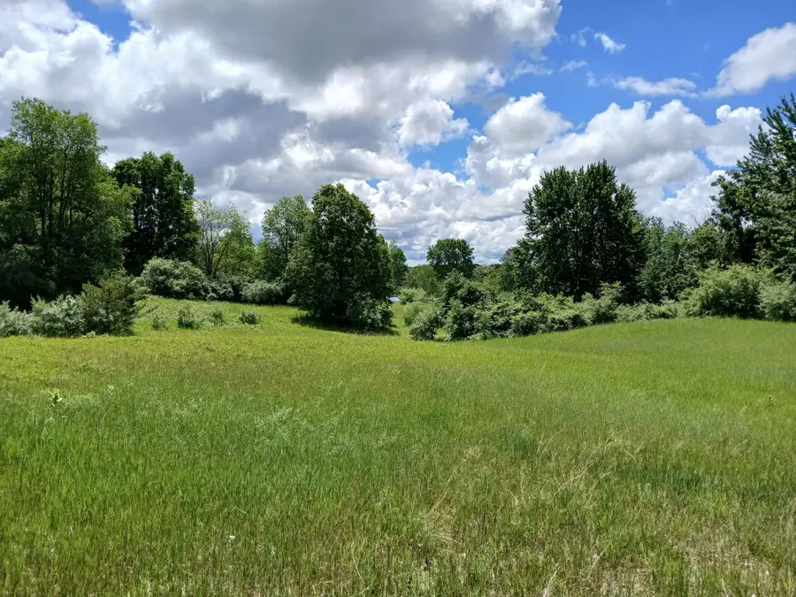24A E Beyer Road, Fountain, MI 49410 - #3