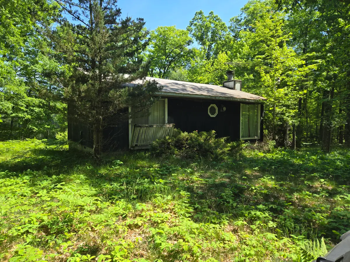 294 W Ingerman Drive, Baldwin, MI 49304 - #1