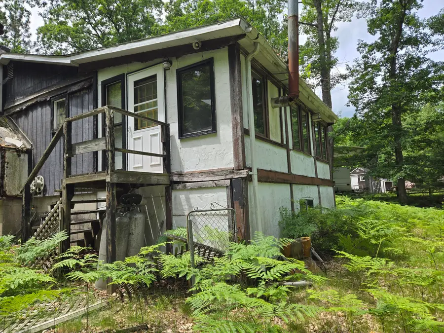 294 W Ingerman Drive, Baldwin, MI 49304 - #2