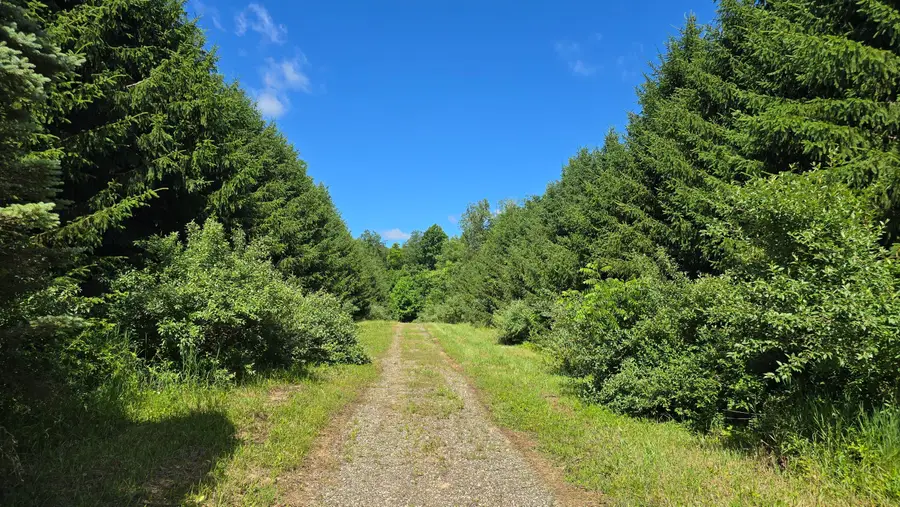 36th Street, Gobles, MI 49055 - #2