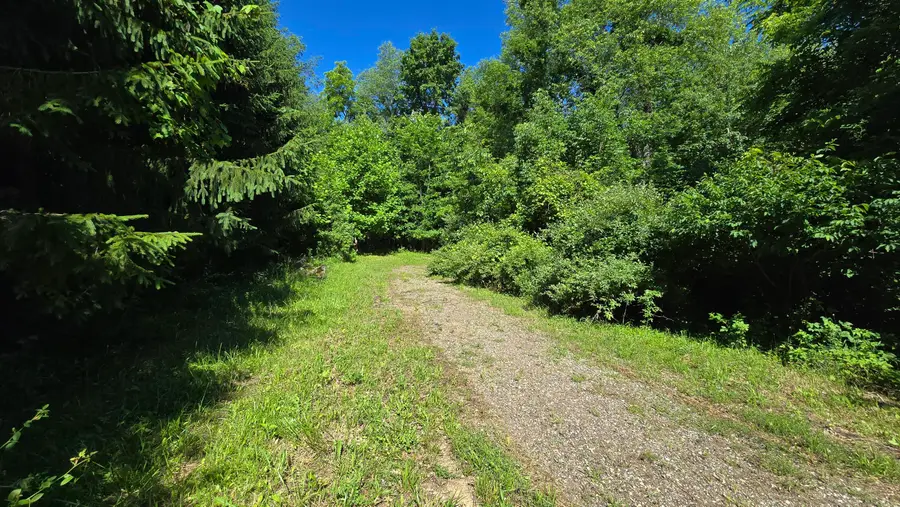 36th Street, Gobles, MI 49055 - #3