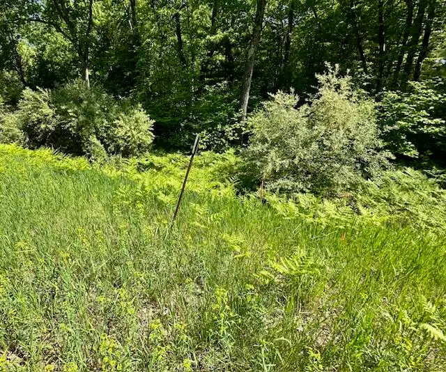 15 Mile Road, Big Rapids, MI 49307 - #2