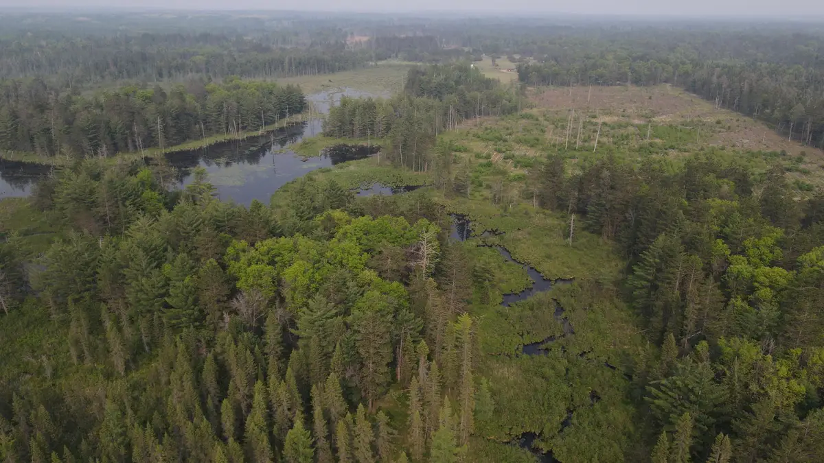 Parcel B Cherry Creek Trail, Grayling, MI 49738 - #1