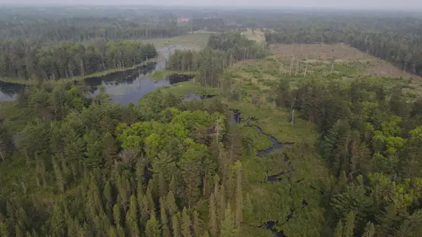 Parcel B Cherry Creek Trail, Grayling, MI 49738