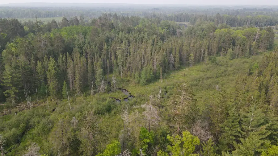 Parcel B Cherry Creek Trail, Grayling, MI 49738 - #2