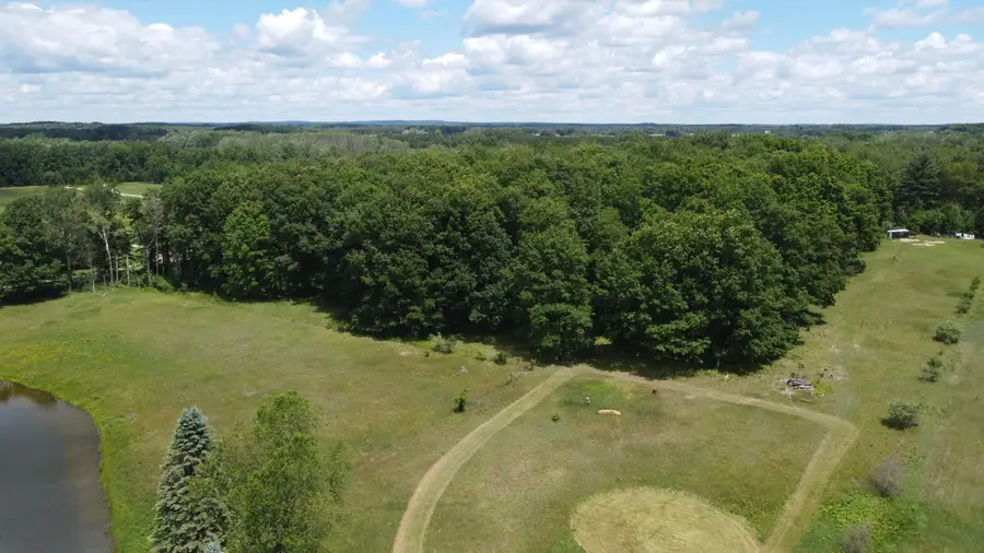 45th Ave, Barryton, MI 49305 - #3