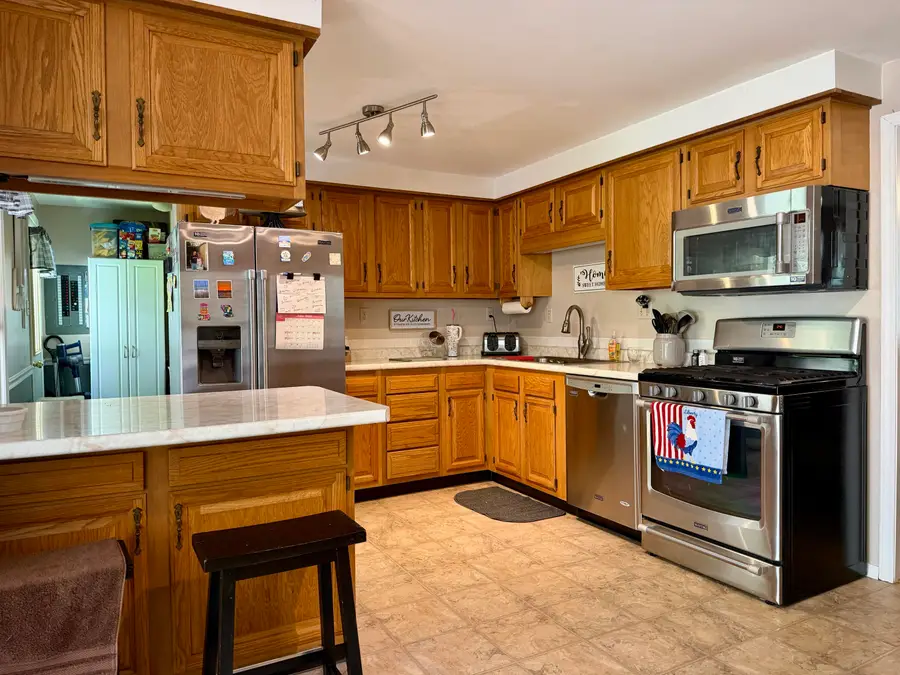 1510 Alger Street, Lake Odessa, MI 48849 - #3