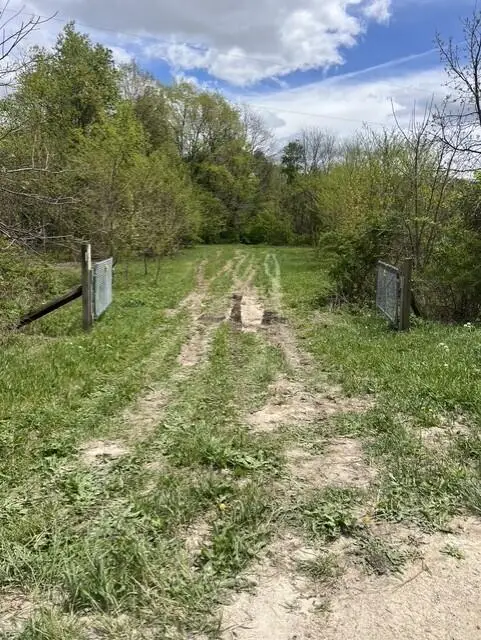 Parcel A W County Line Road, Greenville, MI 48838 - #1