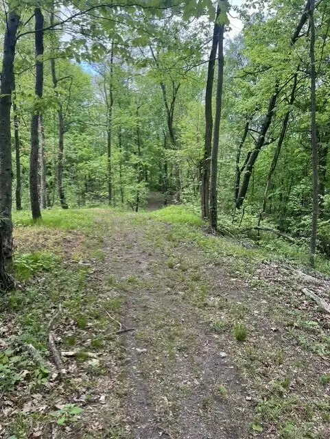 Parcel A W County Line Road, Greenville, MI 48838 - #3