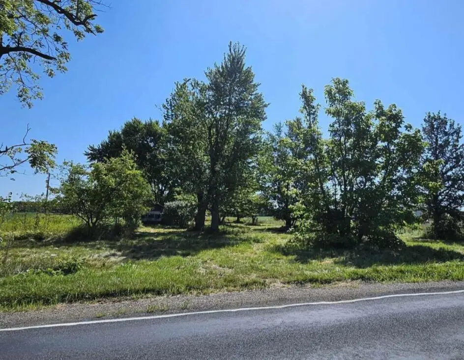 2609 S Ionia Road, Bellevue, MI 49021 - #1