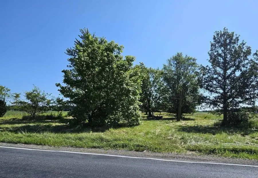 2609 S Ionia Road, Bellevue, MI 49021 - #3
