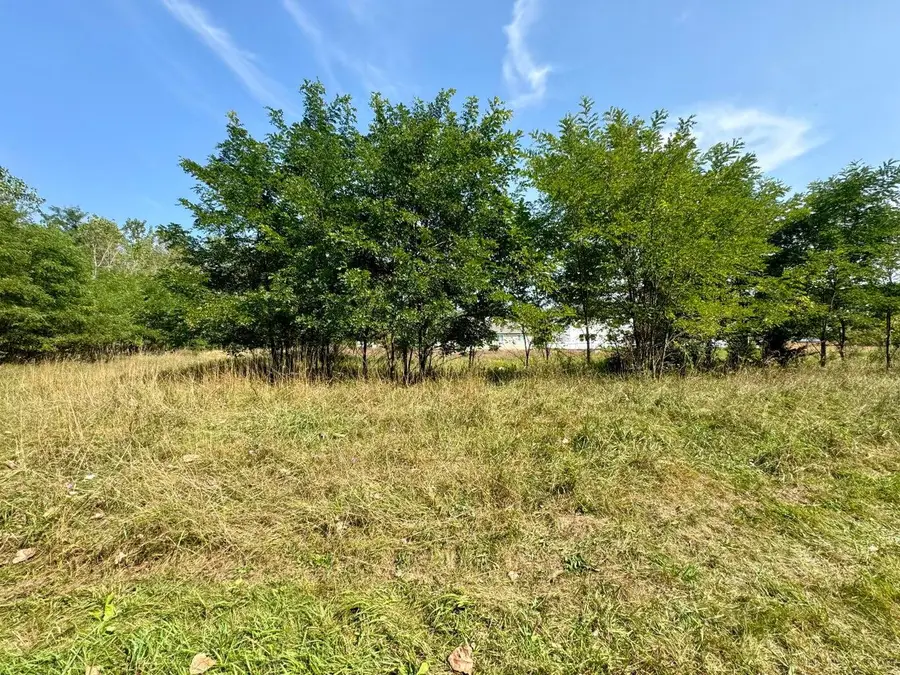 VL St Clair Circle, Brooklyn, MI 49230 - #2