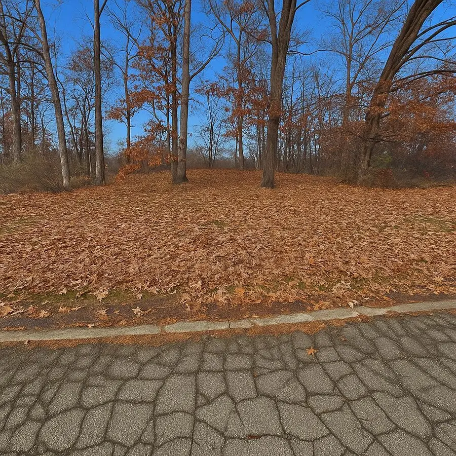 Scenic Hills Drive, Jackson, MI 49201 - #3