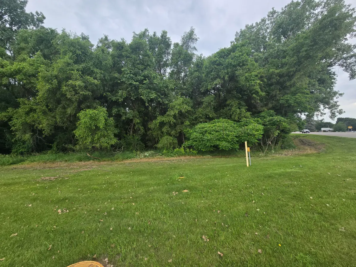 V/L E Washington Street, Greenville, MI 48838 - #1